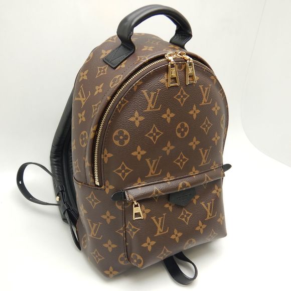 Louis Vuitton Monogram Palm Springs Rucksack Backpack PM Brown - Picture 2 of 8